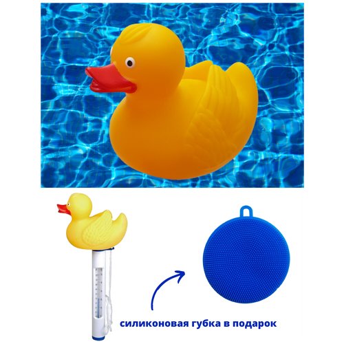 Термометр для бассейна KF, уточка и силиконовая губка