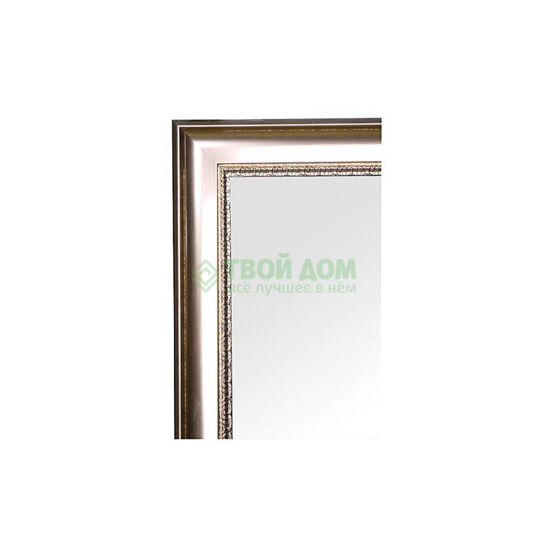 Зеркало с фацетом в багетной раме Evoform хамелеон 88 мм 56х116 см