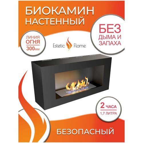 Биокамин настенный Estetic Flame Ornament 900 для дома и квартиры