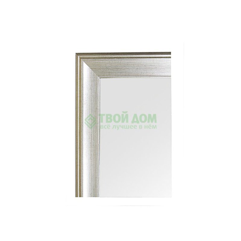 Зеркало с фацетом в багетной раме Evoform травленое серебро 95 мм 68х98 см